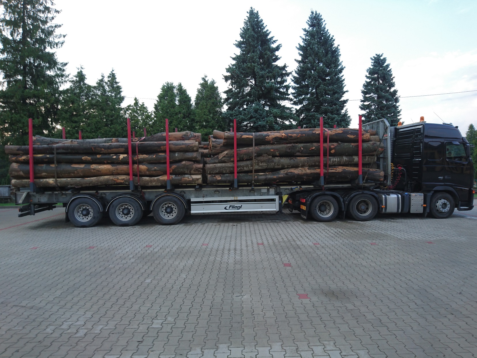 Transport drewna i paliw_7