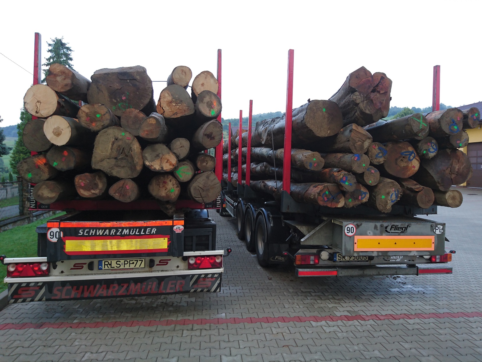 Transport drewna i paliw_9